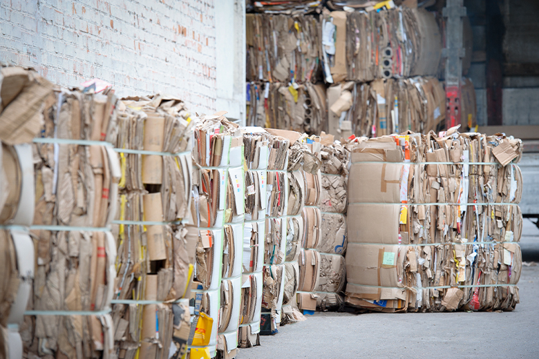 Separation of paper and cardboard