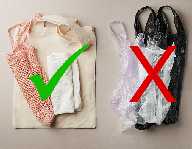 Single-use plastic bags