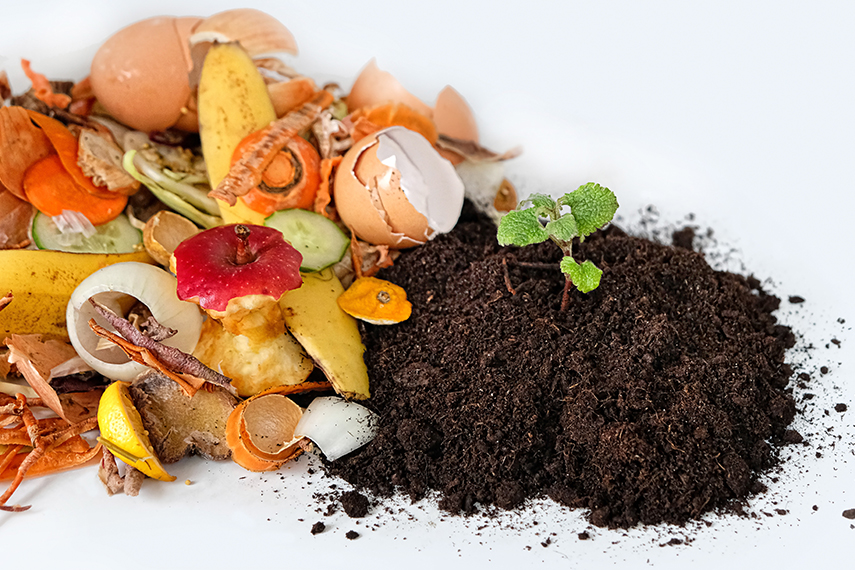 Benefits of composting