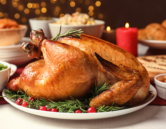 Composting Thanksgiving turkey